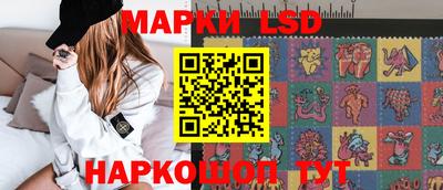 mdma Гатчина